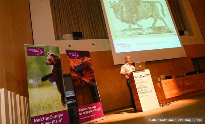 Joep de Vlasakker, speaker at the Rewilding Europe full day seminar at Wild10, The World Wilderness Congress, Salamanca, Spain