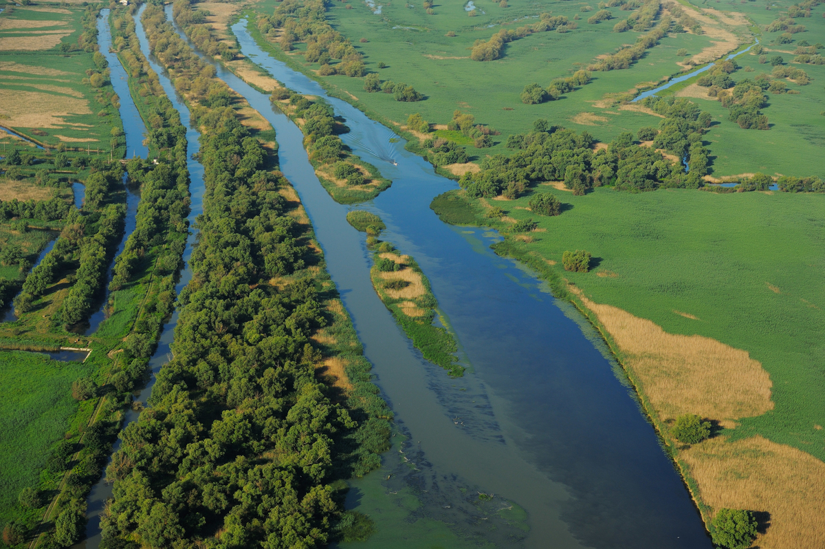 At least 40,000 hectares of unique Danube Delta landscape will be restored as a result of the Endangered Landscapes Programme grant.