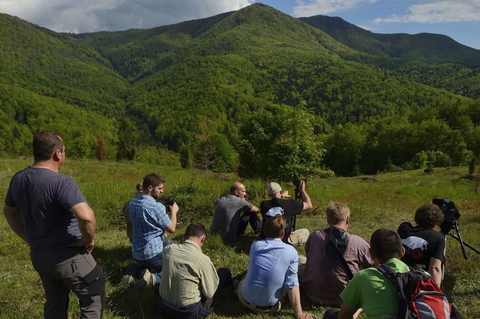 Bison watchers in the Tarcu mountains nature reserve, Natura 2000 area, Southern Carpathians, Romania. The release was actioned by Rewilding Europe and WWF Romania in May 2014.
