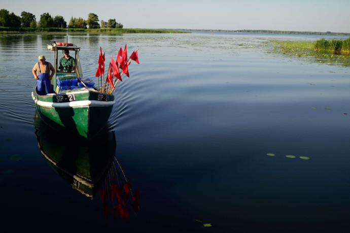 The damage caused by Poland's inland waterways programme will be irreversible and impossible to compensate for. It will also disrupt much of the work that Rewilding Europe and its partners have carried out to date in the Oder Delta.