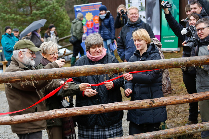 The gate of the bison enclosure was lifted at a special release ceremony.