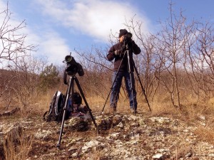Volen Arkumarev monitoring griffon vultures in the Rhodope Mountains, Bulgaria.