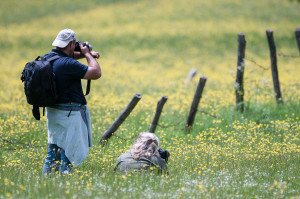 Photo workshop in Abruzzo, Central Apennines.