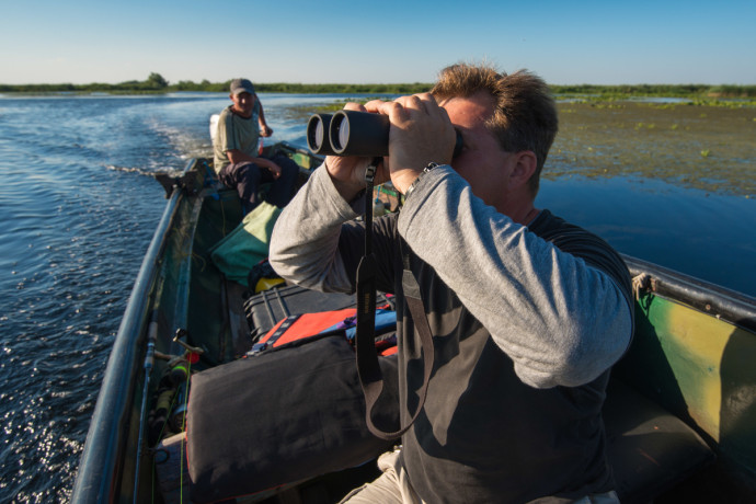 Bird watching in Danube Delta, Romania. The delta is a famous bird hotspot famous for richness in terms of species and numbers.