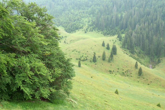 Abandoned grazing lands in the Velebit Nature Park, Croatia
