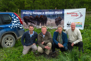 Rewilding team - Neil Birnie (Enterprise Advisor), Frans Schepers (Managing Director), Wouter Helmer, (Rewilding Director) and Staffan Widstrand, (Communications Advisor) at the bison release in Southern Carpathians rewilding area, Romania. 