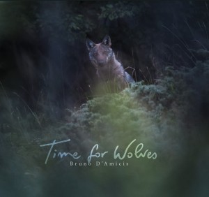 Book cover of "Time for Wolves" by Bruno D'Amicis