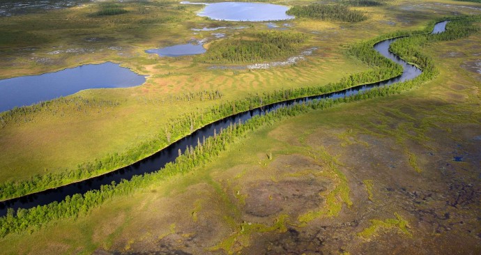 Several wildest rivers of Europe and home to some of the last original wild salmon populations of the continent are located in Lapland rewilding area in northern Sweden.