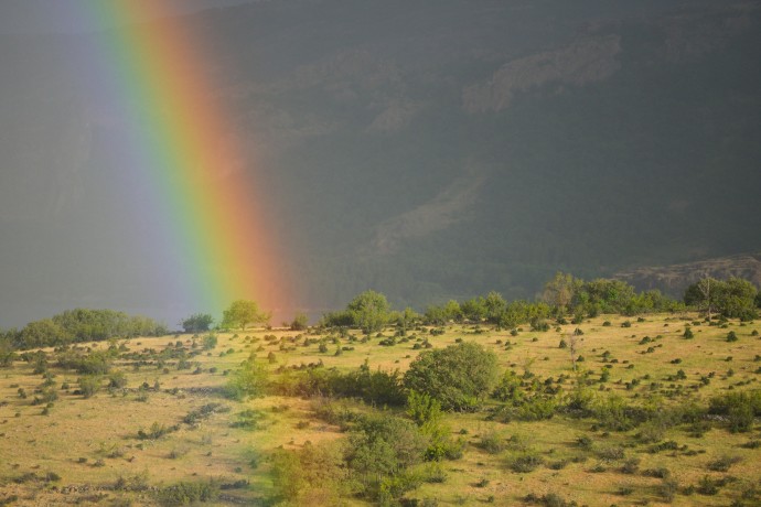 Rainbow on a grazed landscape, grazed by Fallow deer, Dama dama, Rhodope Mountains, Bulgaria.