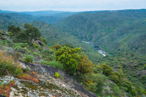 Breathtaking Côa Valley, Western Iberia rewilding landscape, Portugal.