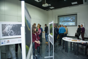 Exhibition “The largest land mammal in Europe returns to the Southern Carpathian wilderness”, part of the LIFE Bison project is open to public until end of November.