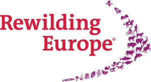 rewilding-europe-without-tagline-rgb-transparent