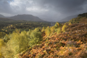 Glen Affric is one area in the Scottish Highlands that has been extensively rewilded in recent decades.