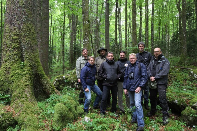 In June 2015, the Adessium Foundation visited Štirovača old-growth forest in the Velebit Mountains, together with the Rewilding Europe and Rewilding Velebit teams. 