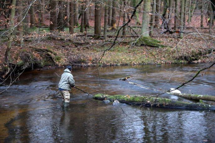 For over 20 years, Artur Furdyna, a fish ecologist and specialist on river and wetland restoration, has been safeguarding fish populations of the Ina and Gowienica rivers in Poland.