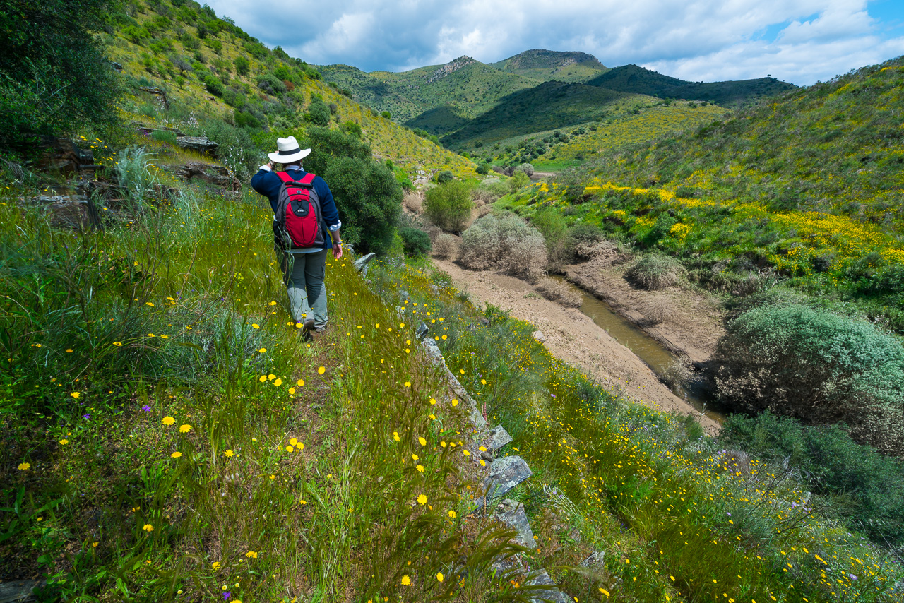 The Endangered Landscapes Programme grant will see a 120,000-hectare wildlife corridor developed in the Greater Côa Valley in northern Portugal.
