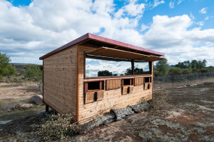 The hide was built with the support of Rewilding Europe Capital, in cooperation with local NGO Associação Transumância e Natureza.
