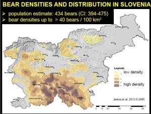 Map showing brown bear densities and distribution in Slovenia.