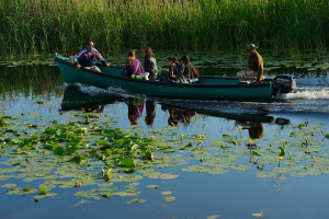 Rewilding Europe has been working to grow nature-based tourism in the Danube Delta, allowing residents to make a living based on the sustainable use of their wild resources.
