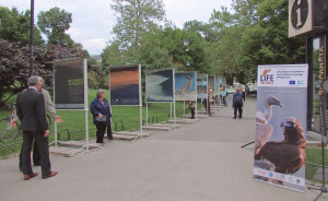 The photo exhibition, Installed in front of Sofia's National Theatre in Bulgaria, is open for visitors until June 2.