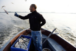 If implemented, Poland's inland waterways programme would reduce the ability of the rivers involved to clean themselves. This would negatively impact fish stocks, fish-eating bird species and tourism.