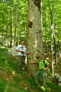 Professor Joso Vukelić (left) and his colleague Stjepan Mikac (right) in Velebit rewilding area.