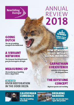 Rewilding Europe Annual Review 2018