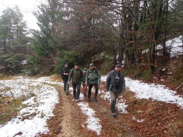 Polish and Romanian bison teams searching for bison in the Southern Carpathians rewilding area.