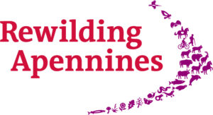 Rewilding Apennines