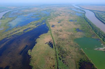 Aerial image of Ermakov island in the Danube Delta rewilding area in Ukraine.