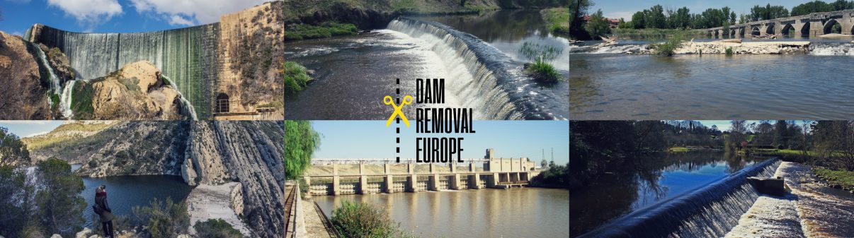 Underpinned by the Water Framework Directive’s ambitious objectives and visionary approach to water management, the pace of European dam removal is now slowly increasing.