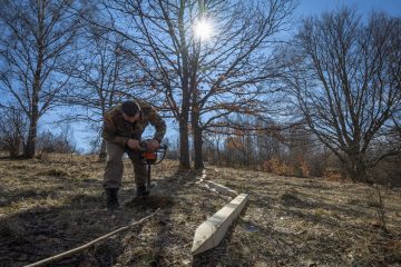 Bison rangers performing their daily duties in Poiana Ruscă, the second bison reintroduction site.
