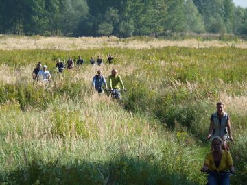 Attracting up to 200,000 visitors a year, the Millingerwaard and surrounding areas reconnect people with wild nature and contribute to a vibrant local economy.