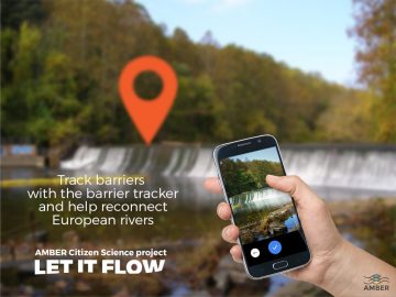 AMBER's handy #LetItFlow app lets Europeans become citizen scientists as they help to map all of the barriers in European rivers.