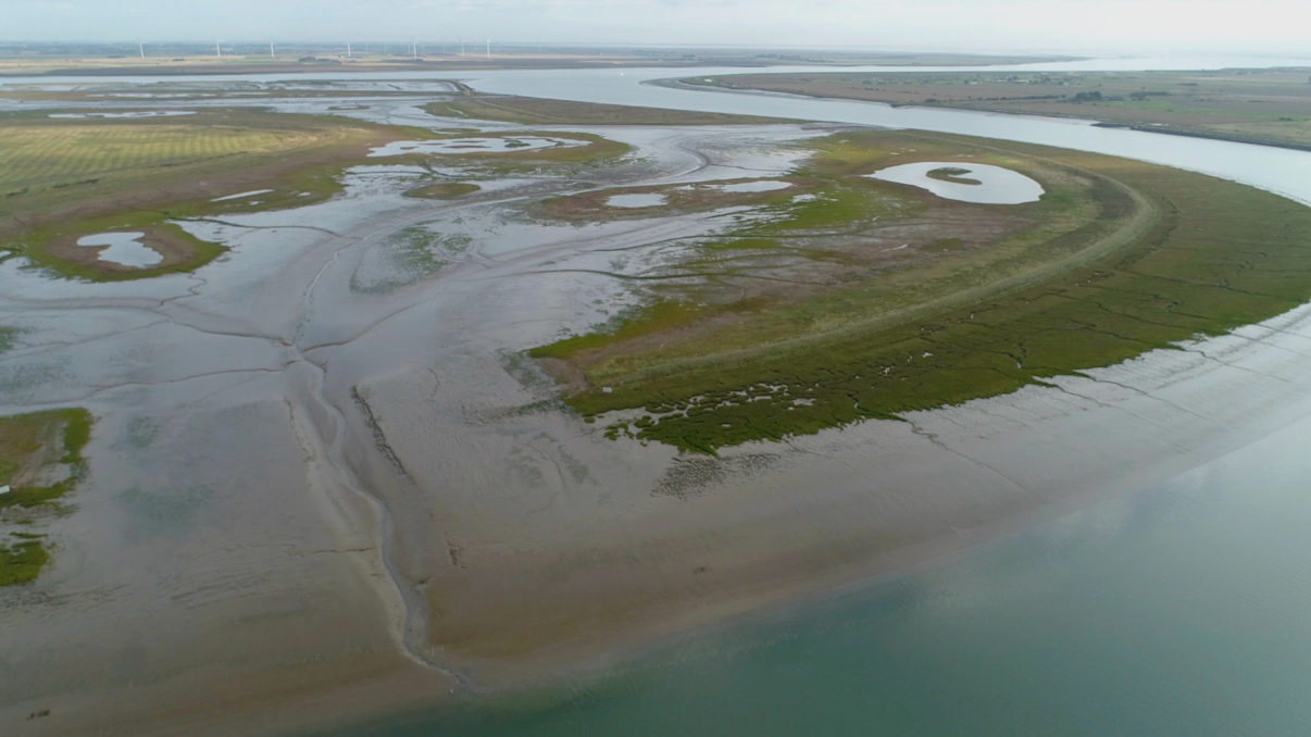 Rewilding Europe is delighted to welcome the Wallasea Island Wild Coast Project, UK's largest and most innovative coastal wetland creation project, to the European Rewilding Network.