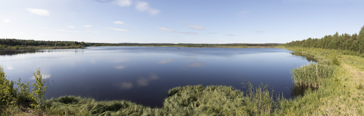 Linnunsuo is currently in the process of rewilding itself, having been converted into a wetland over the past five years.