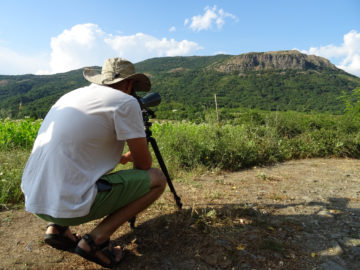 Monitoring breeding griffon vultures in the Rhodope Mountains.