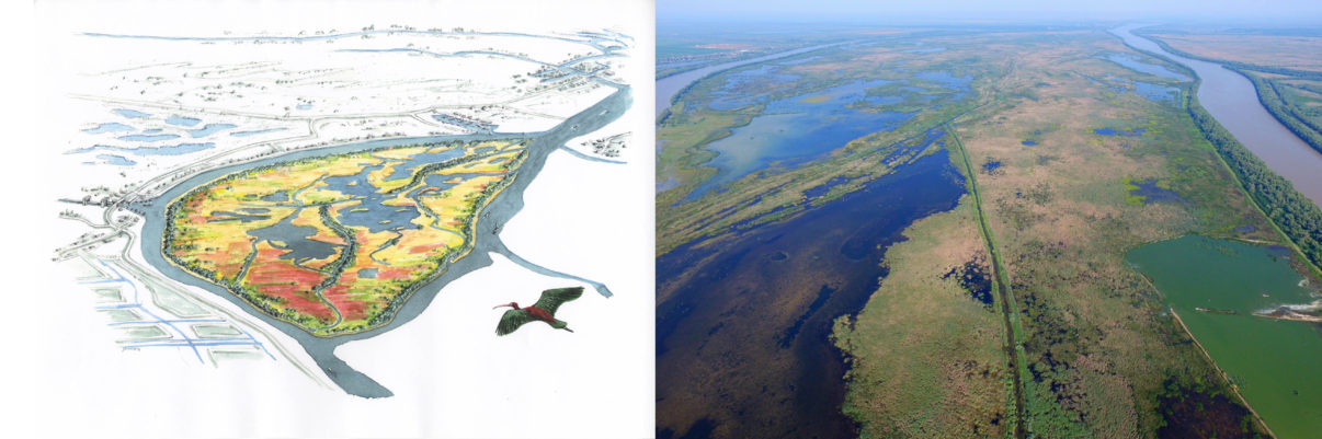 A vision becomes reality. In 2002 a shared vision for restoring the Danube Delta was published. For Ermakov Island - one of the model projects - an artist's impression first illustrated the desired result. The island was subsequently restored by reflooding in 2009, with the aerial image taken in 2017 showing an incredible natural comeback. 