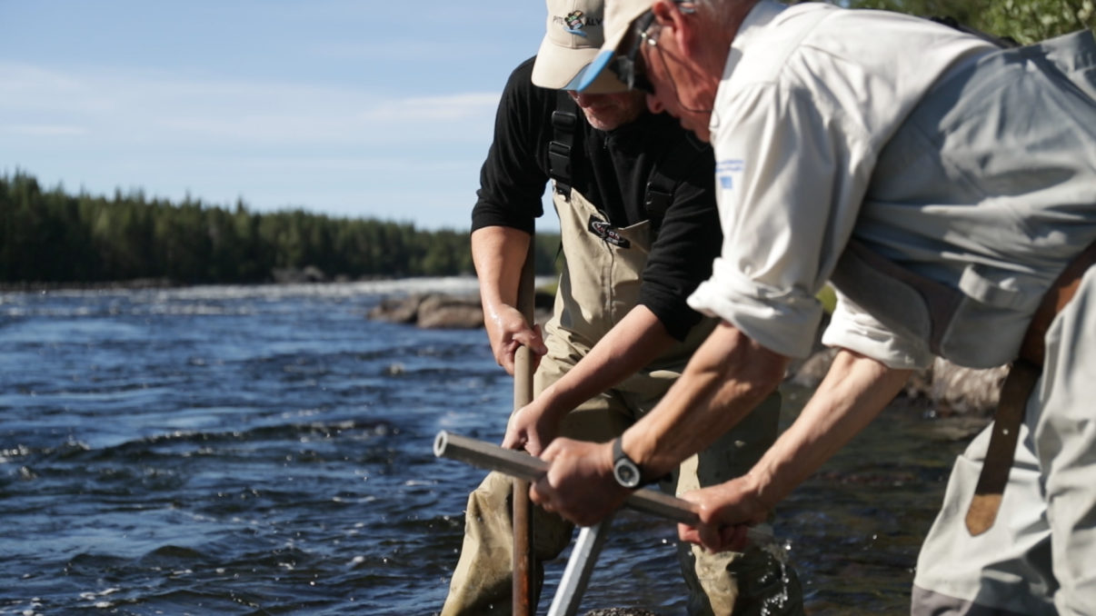 Restoring spawning grounds on the Pite River in the Swedish Lapland rewilding area. 
