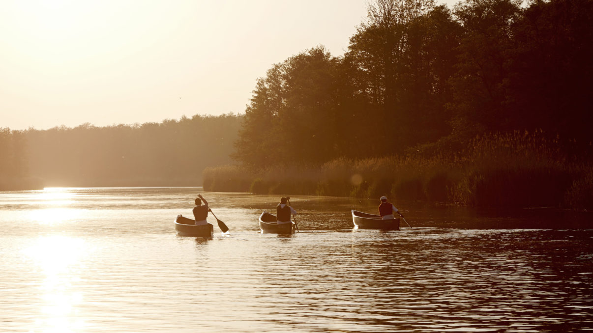 Canoeing along the beautiful Peene River for four days is one of the new offerings of European Safari Company.