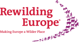 Rewilding Europe - Making Europe a wilder place
