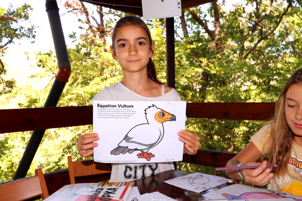 Games and painting helped children gain a better understanding of vulture biology during the International Vulture Awareness Day.