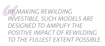 Investible and scalable models can accelerate Rewilding across Europe