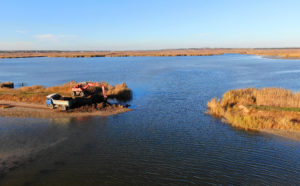 Dam Removal - Rewilding Europe - Danube Delta