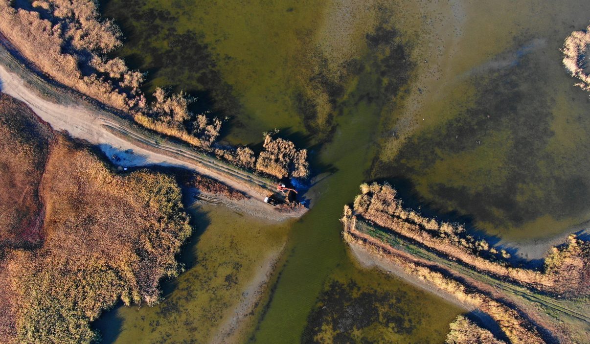 Dam Removal - Rewilding Europe - Danube Delta