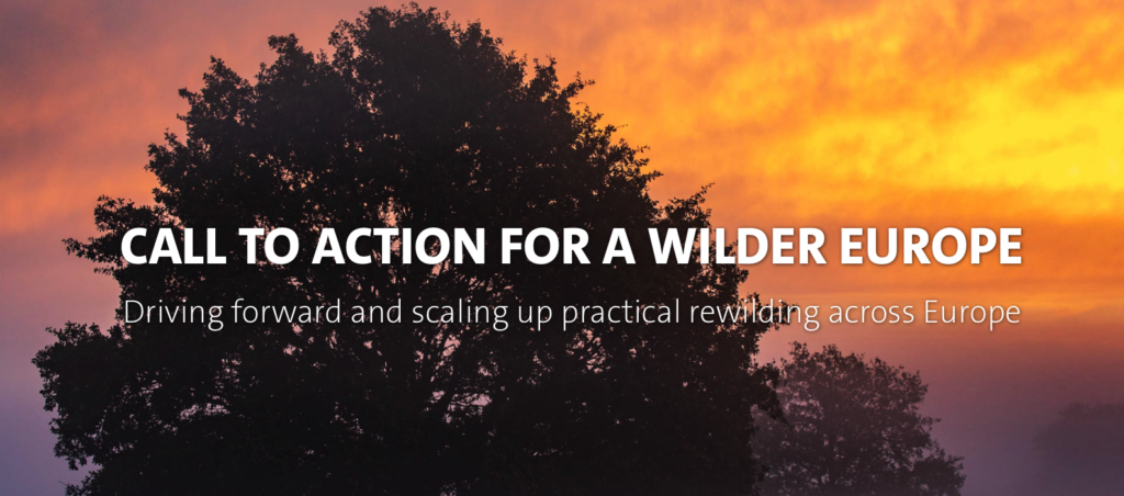 Call to Action for a Wilder Europe