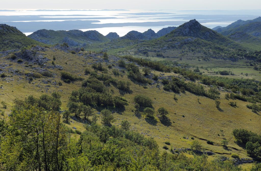 Wilder Parks Protected Areas Can Spearhead Nature Recovery In Europe