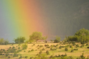 Rainbow on a grazed landscape, grazed by Fallow deer, Dama dama, Studen Kladenets reserve, Eastern Rhodope mountains, Bulgaria