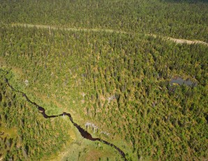 Peat bog lands and taiga boreal forest, Sjaunja Bird Protection Area, Lapland