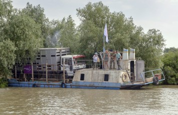 The herd of Konik horses shipped to the Danube Delta from Latvia earlier this year are now roaming free.
